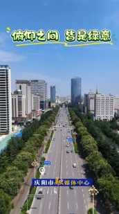 俯仰之間 皆是綠意