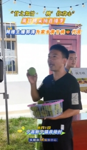 “甘之如飴‘桃’你歡心”黃甘桃采摘直播季｜網(wǎng)絡主播郭濤為家鄉(xiāng)黃甘桃代言，歡迎大家來寧縣采摘黃甘桃