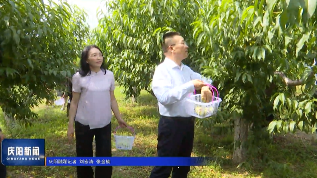 《慶陽新聞》2025年8月2日