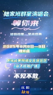 8月8日至9日每晚8點，陸家班群星演唱會等您來！