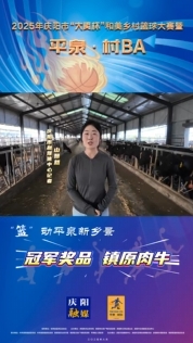 “籃”動平泉新鄉(xiāng)景｜大揭秘！“平泉·村BA”冠軍獎品來啦！鎮(zhèn)原肉牛你確定能牽回家嗎