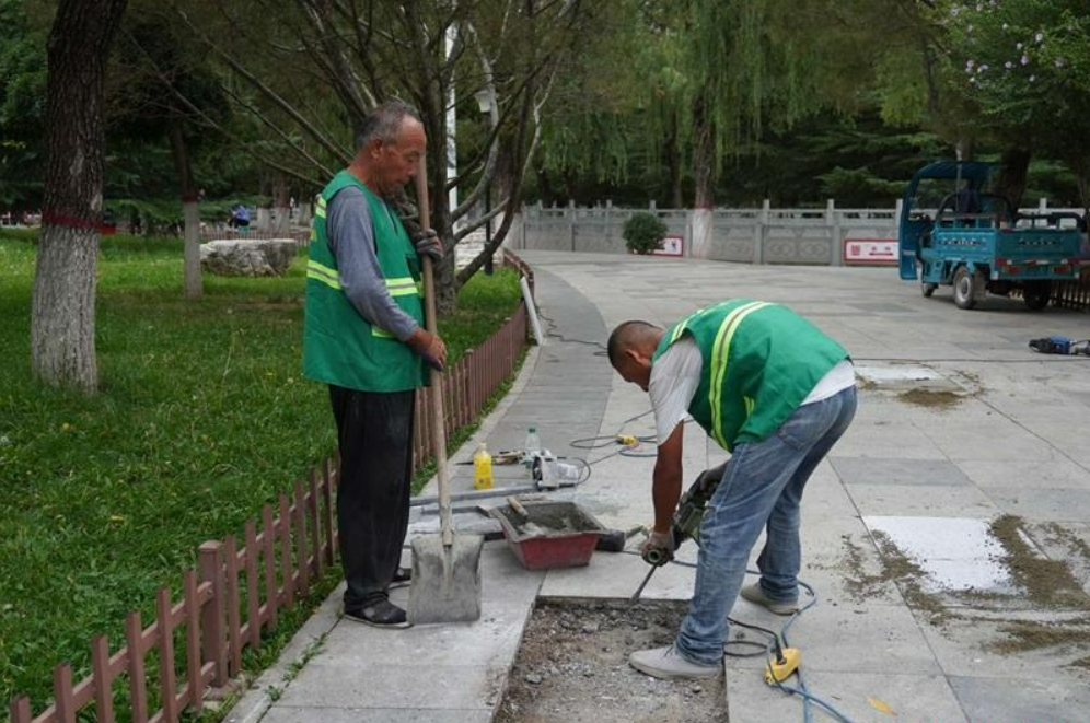 【深入開(kāi)展城市管理提質(zhì)年行動(dòng)】西峰區(qū)園林局：精細(xì)養(yǎng)護(hù)擦亮城市“生態(tài)客廳”文明底色