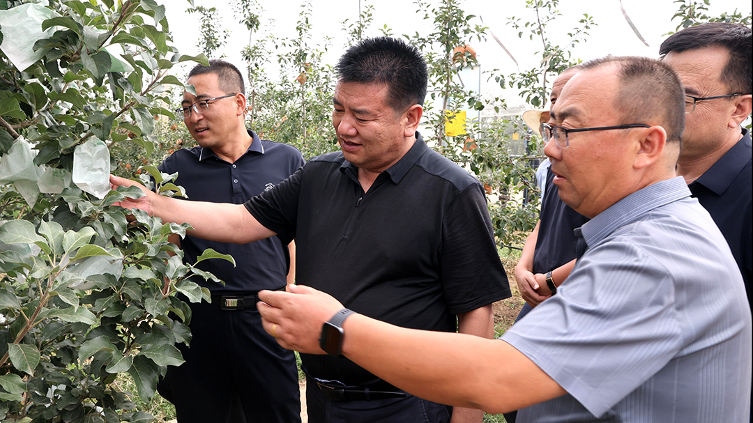 西峰區(qū)：孫文江調(diào)研全區(qū)農(nóng)業(yè)農(nóng)村工作