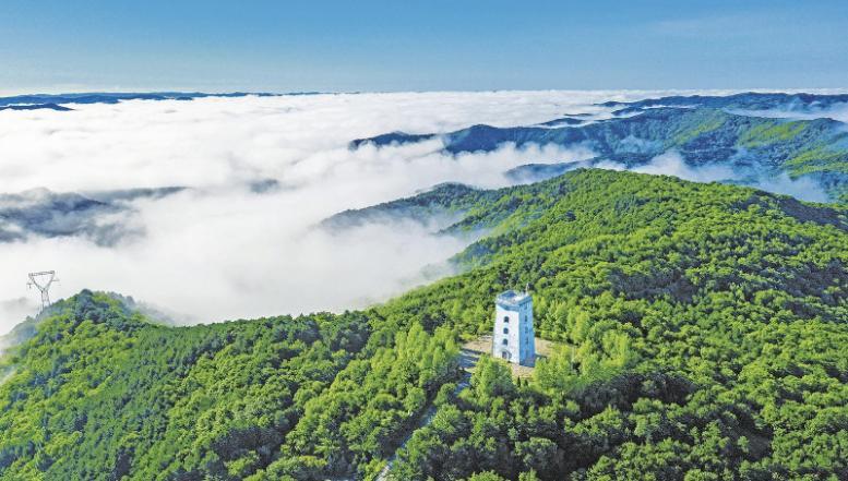 慶陽市筑牢生態(tài)屏障 擦亮高質(zhì)量發(fā)展底色