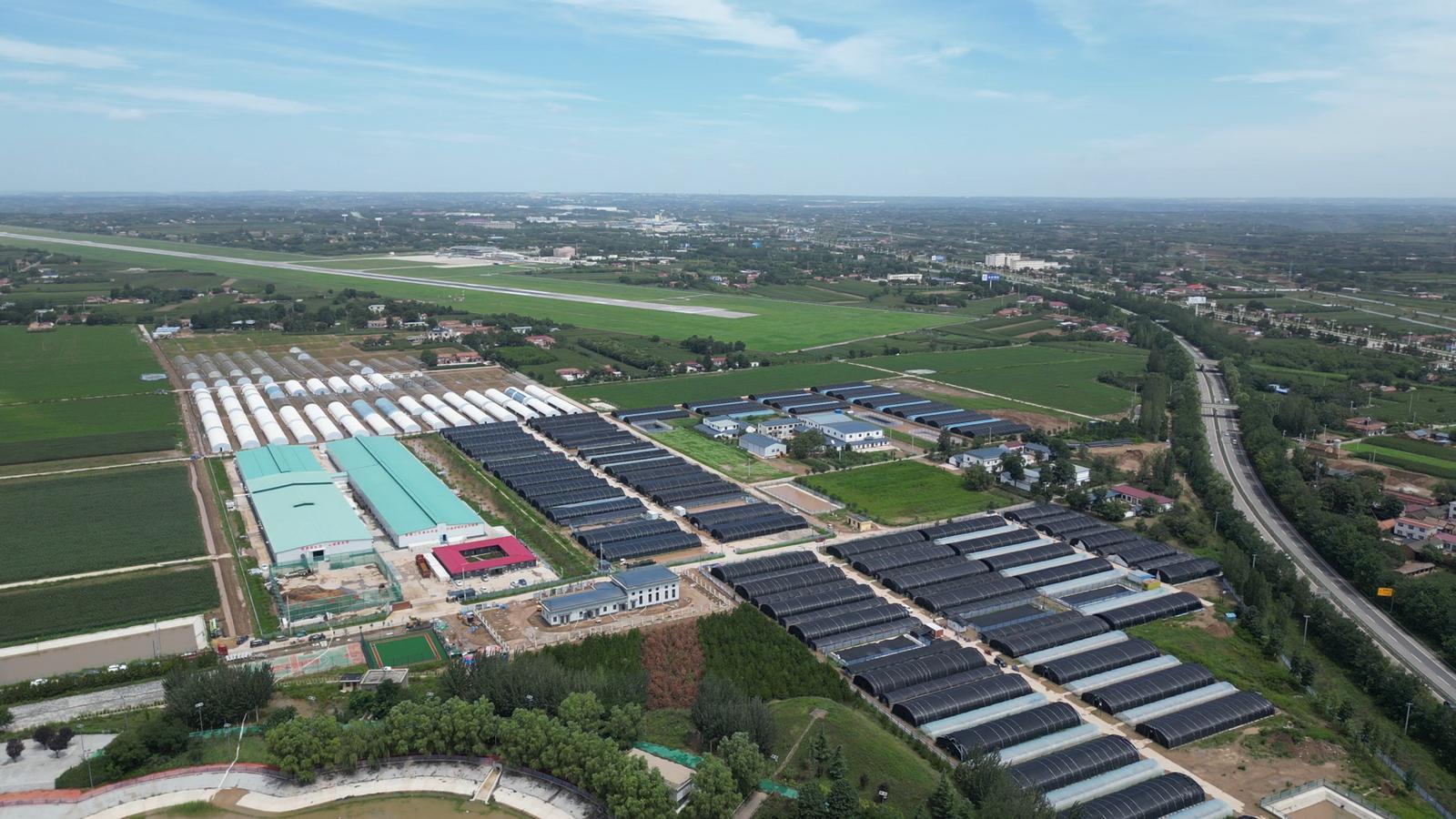 【縣區(qū)觀察·西峰區(qū)】高原興產(chǎn)業(yè) 沃野涌新潮——西峰區(qū)推進(jìn)縣域高質(zhì)量發(fā)展紀(jì)實(shí)