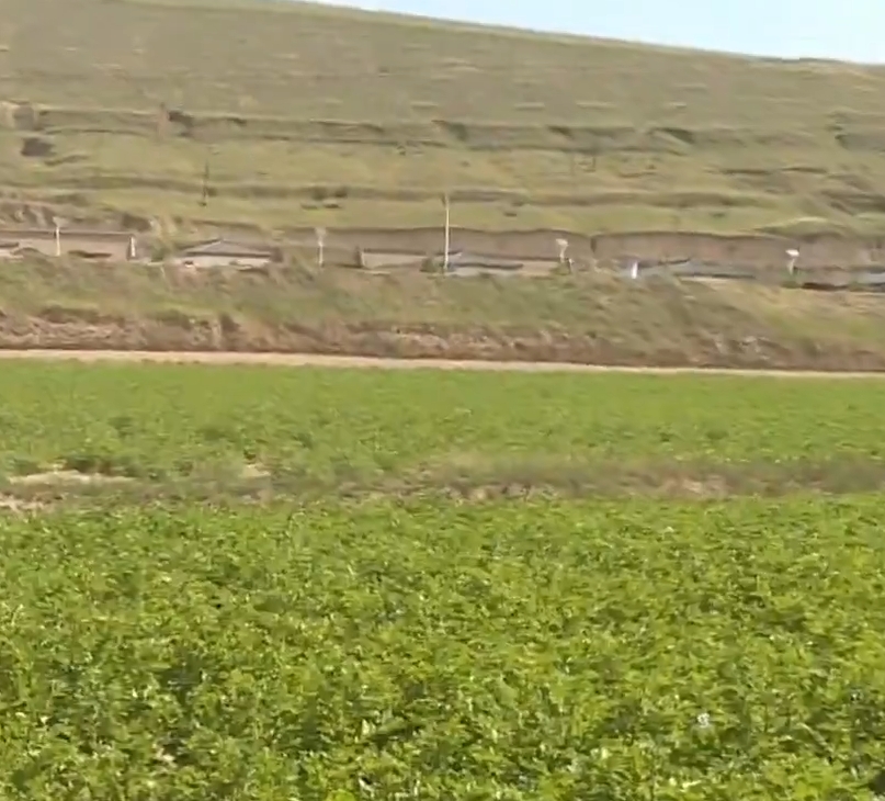 《慶陽新聞》2025年8月20日