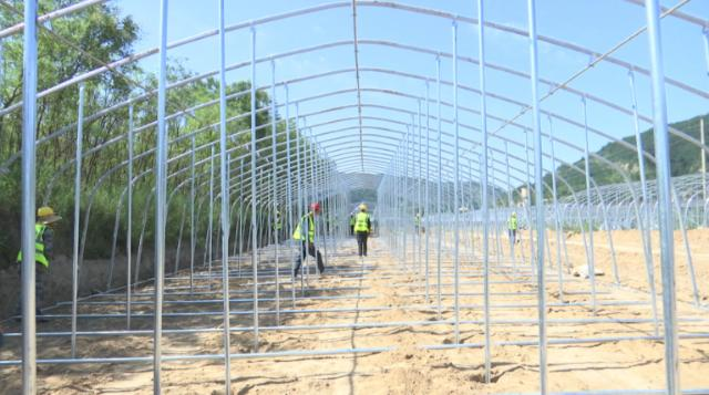 【全面推進(jìn)鄉(xiāng)村振興 加快農(nóng)業(yè)農(nóng)村現(xiàn)代化】合水縣老城鎮(zhèn)木耳出口產(chǎn)業(yè)園建設(shè)加速推進(jìn)