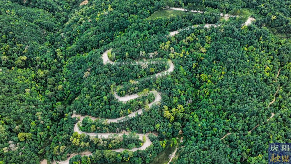 【攝影報道】S501線五頃塬至三嘉公路（張村至劉家店段）改建工程建設(shè)正酣