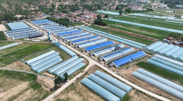 【黨旗引領新時代】合水：堅持黨建引領 推動村集體經(jīng)濟持續(xù)壯大