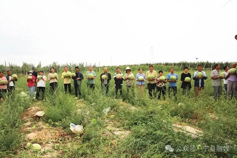 寧縣平定村：晚熟西瓜上市 激活村集體“甜蜜經(jīng)濟(jì)”