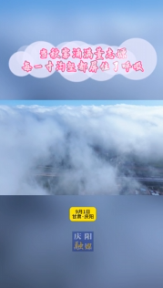 當秋霧涌滿董志塬，每一寸溝壑都屏住了呼吸