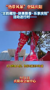 一場“熱帶風暴”登陸慶陽！狂薅東南亞風情水果和精美玉器