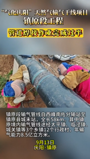 “氣化慶陽”天然氣輸氣干線項目鎮(zhèn)原段工程全速推進