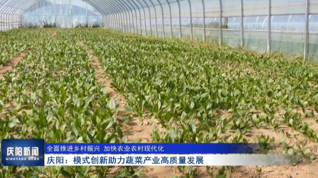 《慶陽(yáng)新聞》2025年9月15日