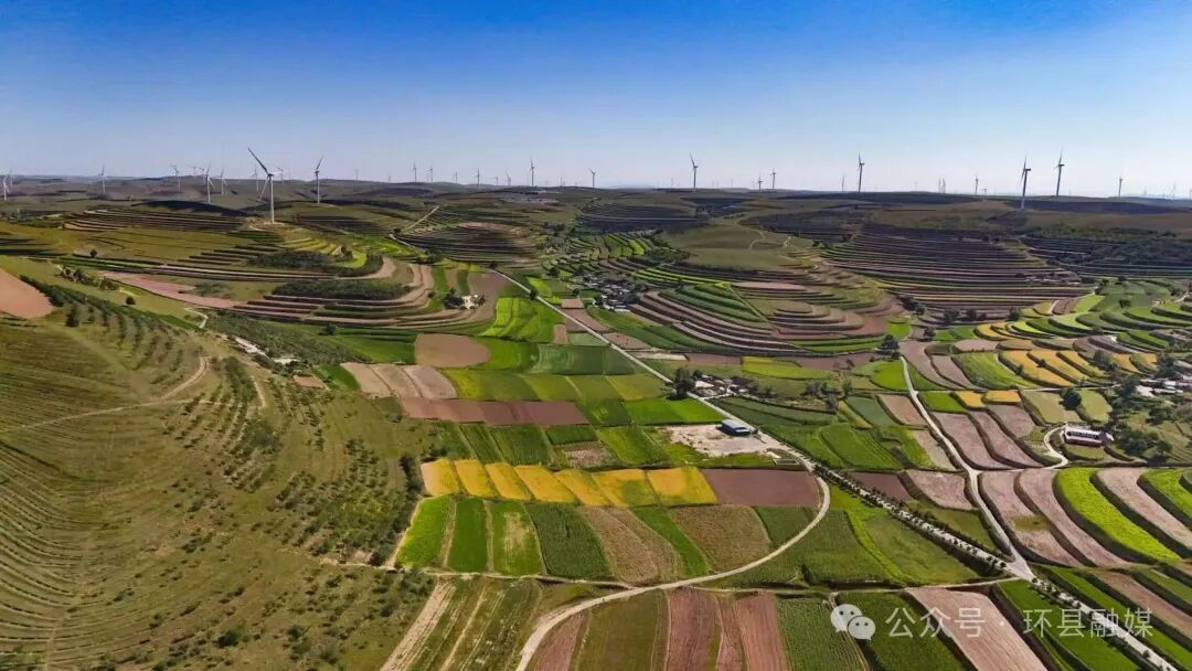 科技賦能強根基 特色勃發(fā)繪新篇——環(huán)縣奏響農(nóng)業(yè)豐收振興曲