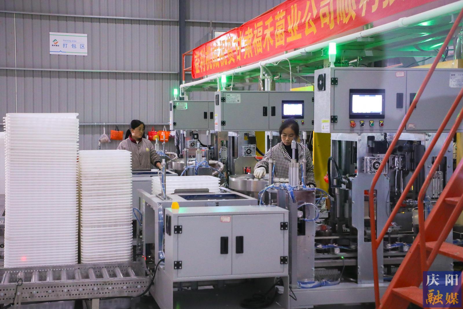 【挑大梁 作標桿】縣區(qū)高質量發(fā)展巡禮——寧縣