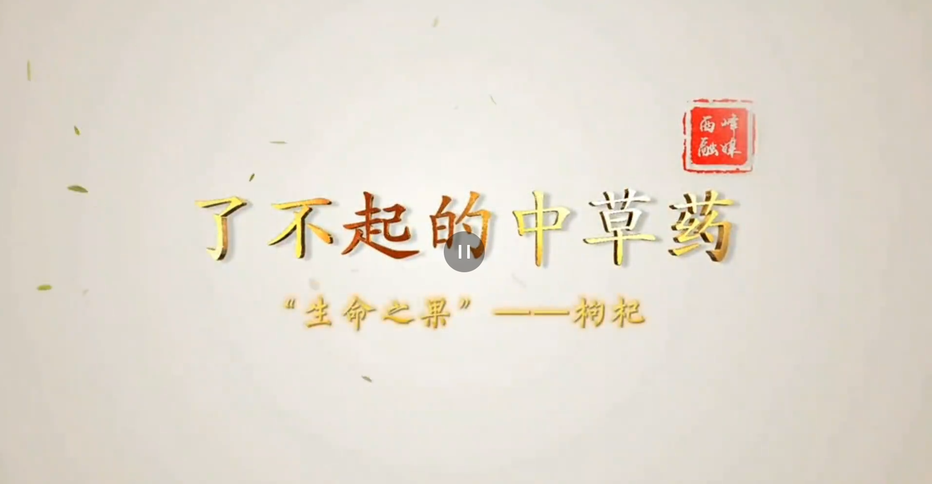 【2025甘肅·慶陽岐黃文化論壇】了不起的中藥材︱枸杞