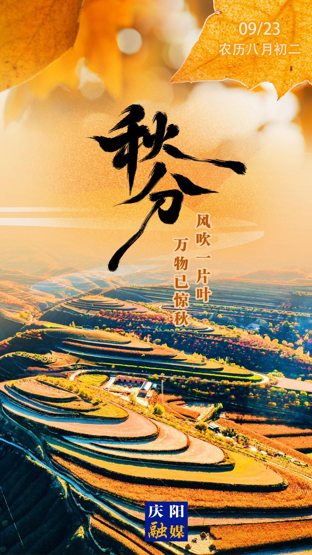 【微海報(bào)】秋分丨風(fēng)吹一片葉 萬物已知秋