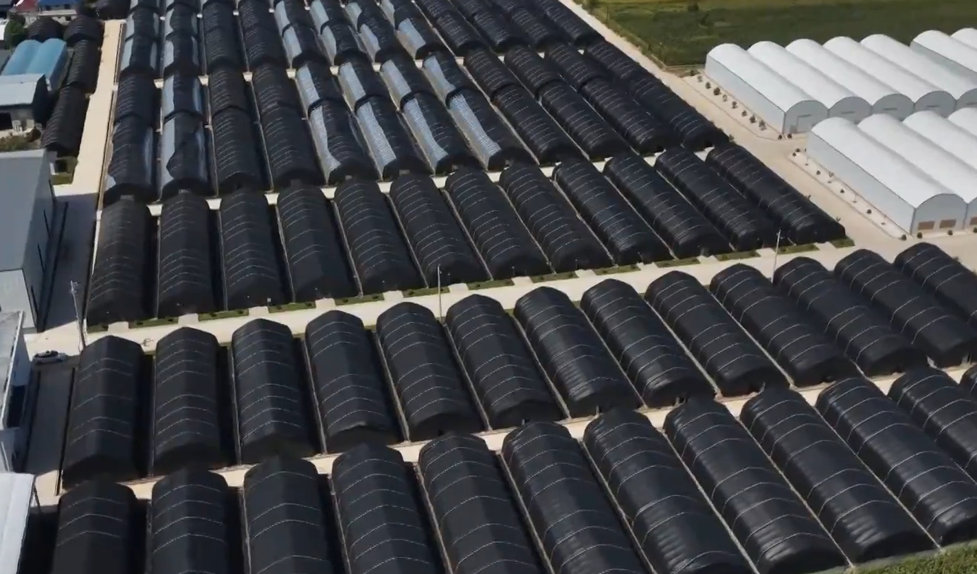 《慶陽新聞》2025年10月3日