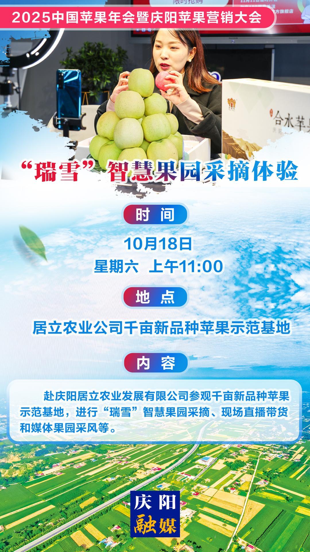 ?【微海報】2025中國蘋果年會暨慶陽蘋果營銷大會丨“瑞雪”智慧果園采摘體驗