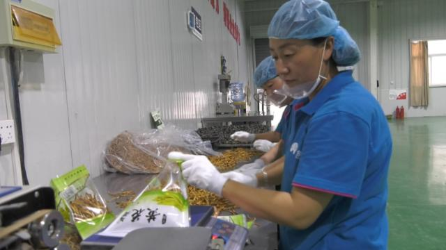 東西部協(xié)作結(jié)碩果 合水發(fā)展添動能