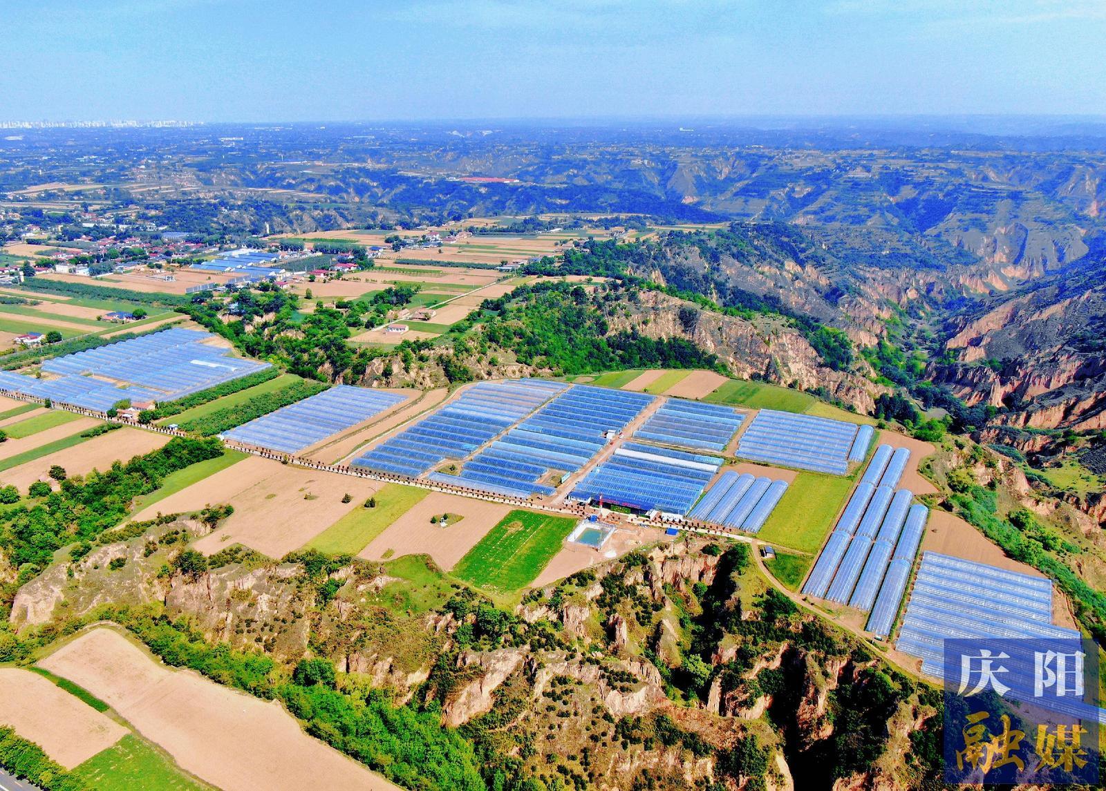 【城鄉(xiāng)文明創(chuàng)建】文明新風(fēng)潤?quán)l(xiāng)土  富民強村正當(dāng)時——西峰區(qū)什社鄉(xiāng)李嶺村創(chuàng)建全國文明村鎮(zhèn)工作綜述