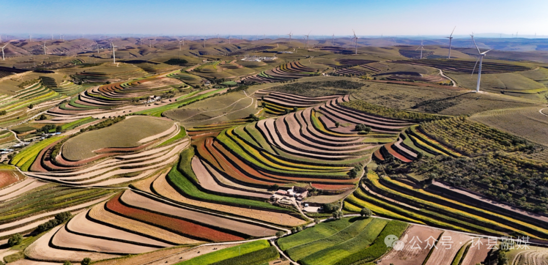 【攝影報(bào)道】：環(huán)縣：秋色為筆 大地成詩(shī)