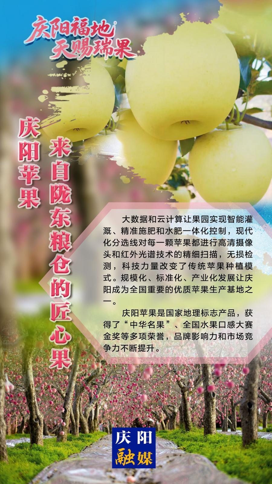 2025中國蘋果年會(huì)在慶陽·微海報(bào)丨慶陽蘋果——來自隴東糧倉的匠心果