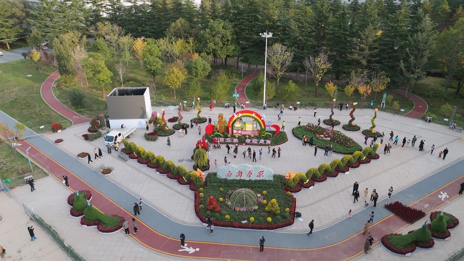 西峰區(qū)“菊韻金秋”菊花展打造市民沉浸式體驗新場景