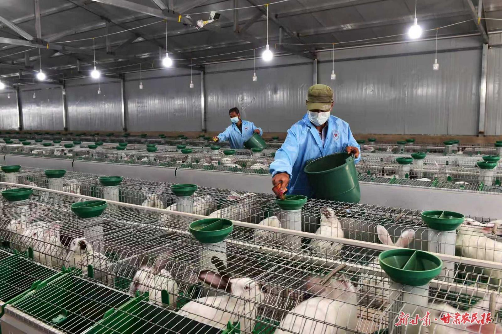 【甘肅農(nóng)民報(bào)】平泉“三疊”——鎮(zhèn)原縣平泉鎮(zhèn)土地生金、文化流彩、旅游聚氣的生動(dòng)實(shí)踐