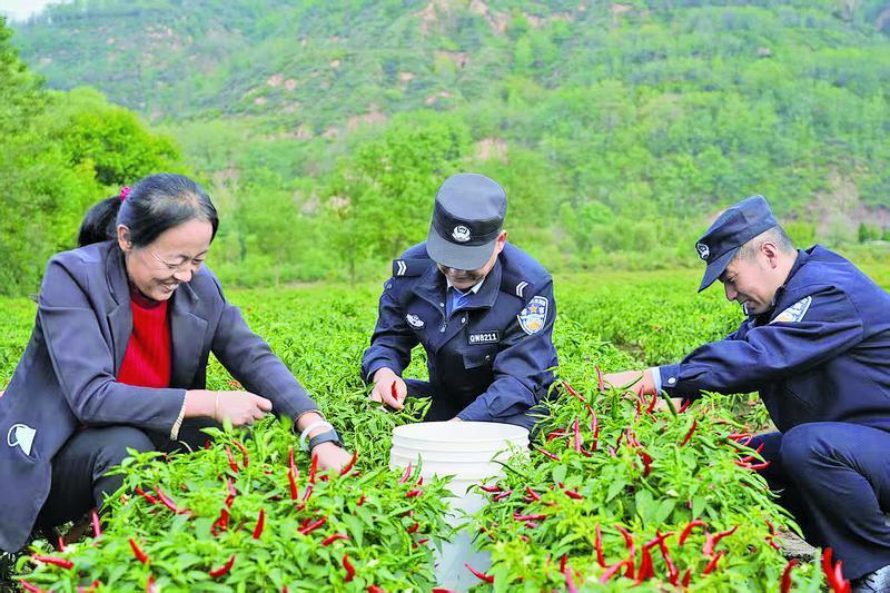 【法治慶陽(yáng)】寧縣公安 深耕“田間警務(wù)”護(hù)航秋收保平安