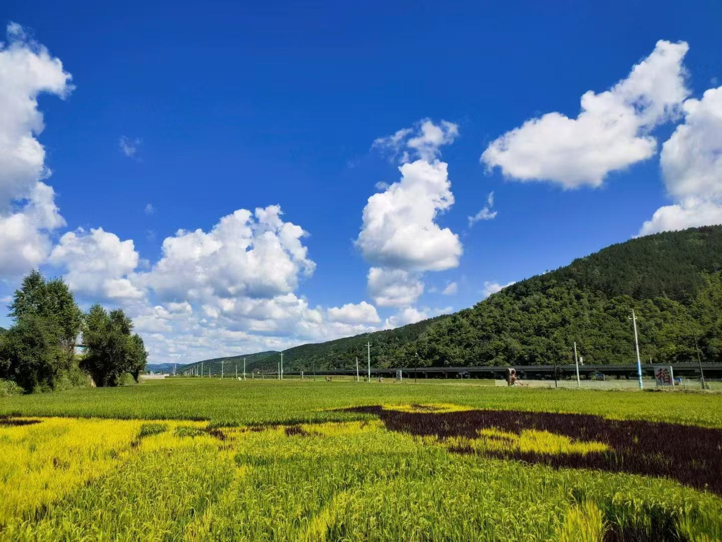 產業(yè)筑基 文旅賦能——合水縣太白鎮(zhèn)探索農文旅融合發(fā)展之路