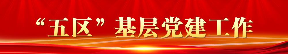 '五區(qū)’基層黨建工作