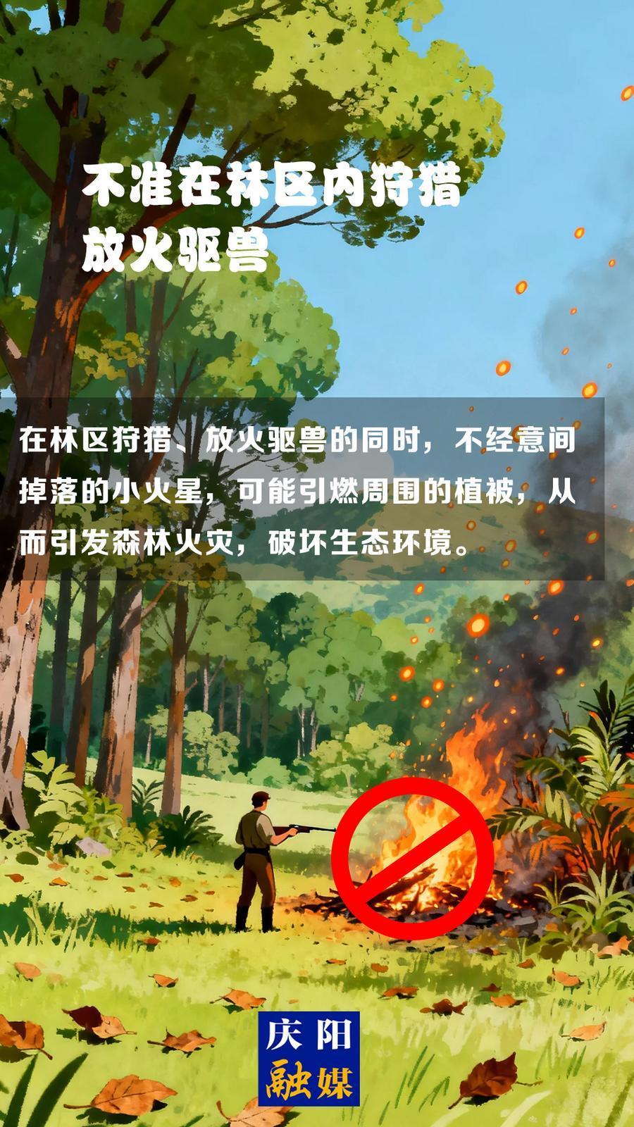 【微海報(bào)】森林防火知識科普?(13)丨不準(zhǔn)在林區(qū)內(nèi)狩獵放火驅(qū)獸