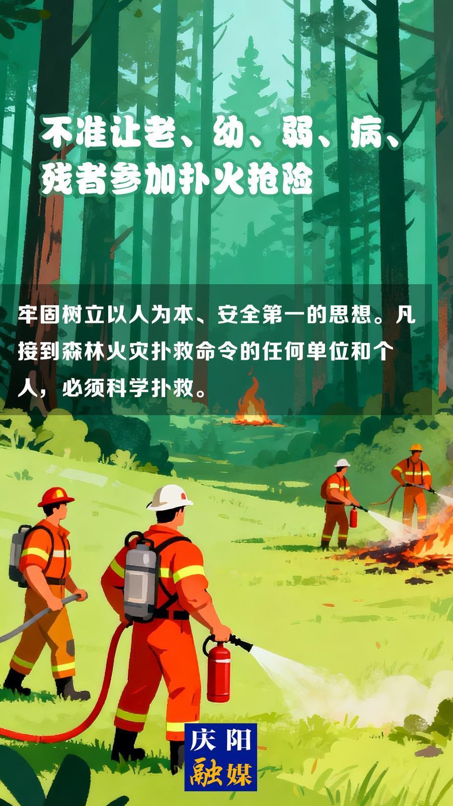 【微海報】森林防火知識科普?(14)丨不準讓老、幼、弱、病、殘者參加撲火搶險