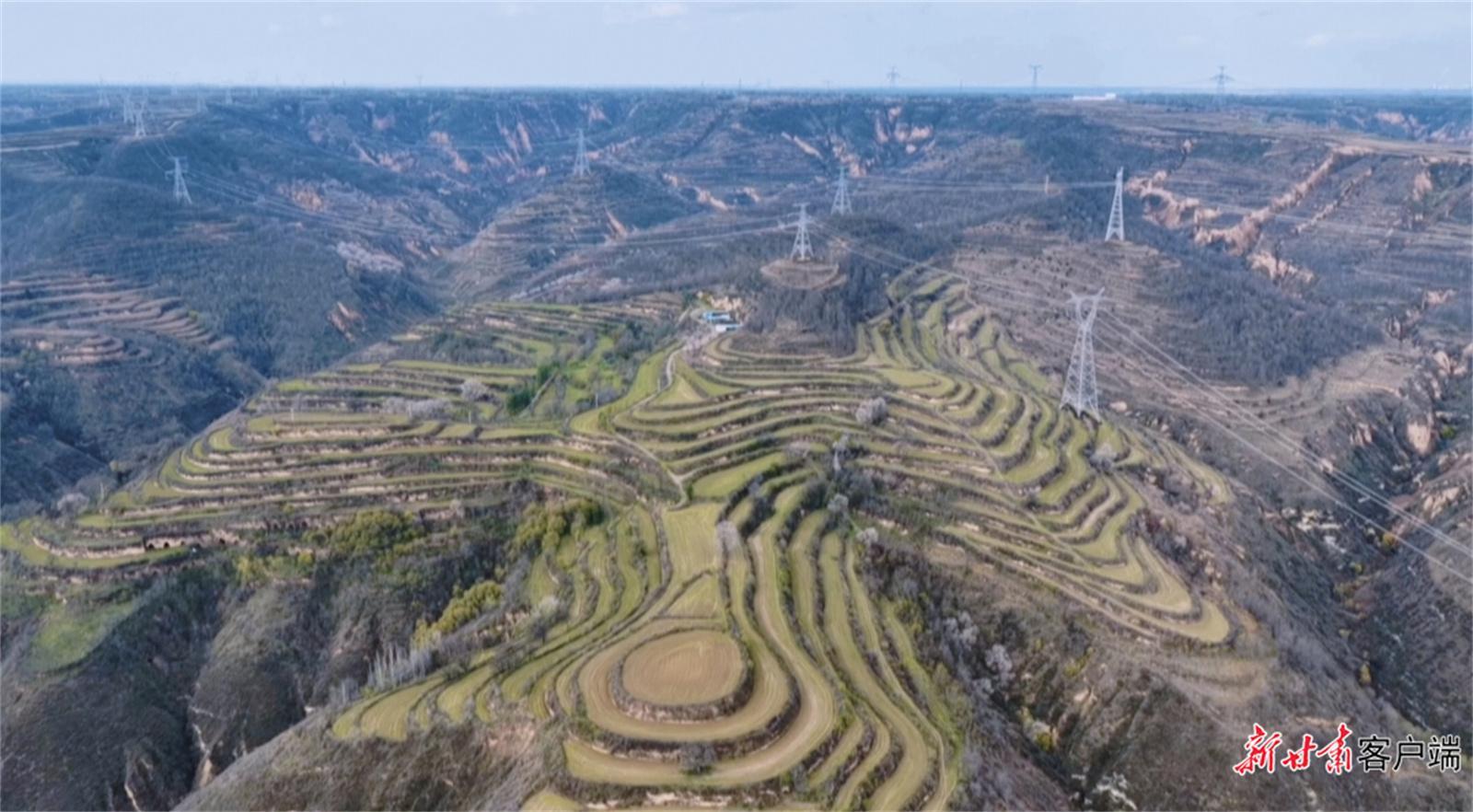 【決勝“十四五” 邁向“十五五”｜從身邊變化看這五年】在家鄉(xiāng)的土地上 做一個“麥田守望者”——“新農(nóng)人”馬登云的綠色夢想