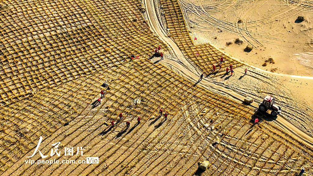 甘肅肅南：巴丹吉林沙漠“鎖邊”忙