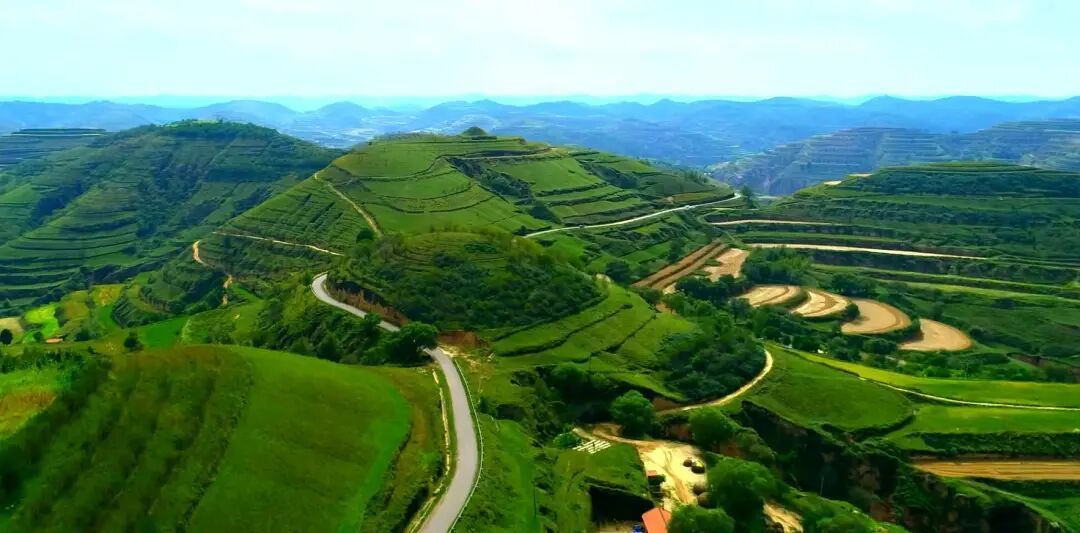 黨建紅引領(lǐng)生態(tài)綠 “4+3”機(jī)制繪就林區(qū)發(fā)展新圖景 ——慶城縣以黨建融合激活生態(tài)建設(shè)內(nèi)生動(dòng)力