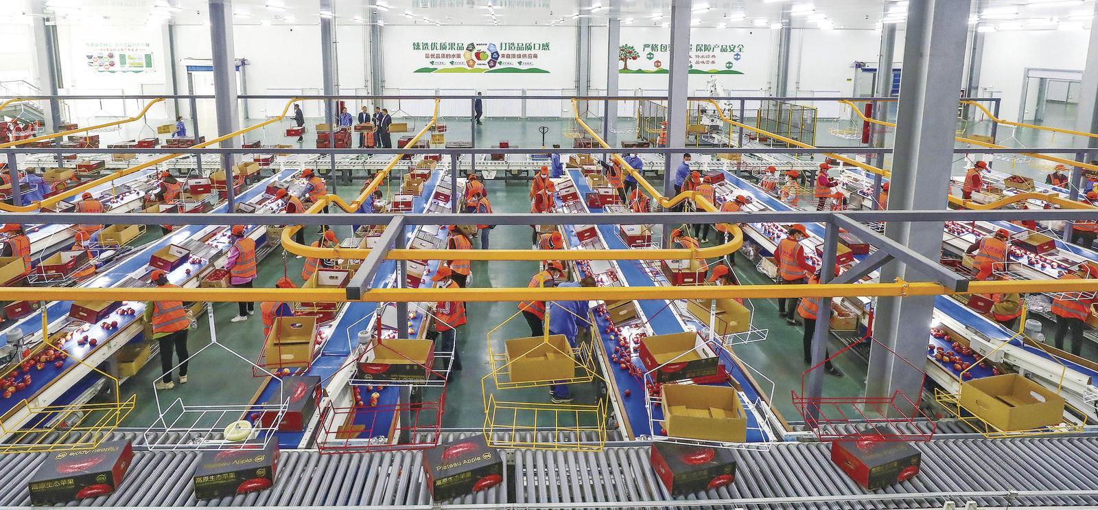 寧縣：特色產(chǎn)業(yè)“調(diào)色盤” 繪就鄉(xiāng)村振興“斑斕畫卷”