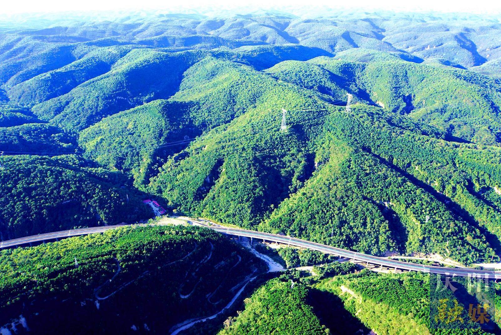 非凡“十四五”奮進新慶陽 | 綠染隴東 生態(tài)惠民——“十四五”以來慶陽市林草工作實現(xiàn)高質(zhì)量發(fā)展