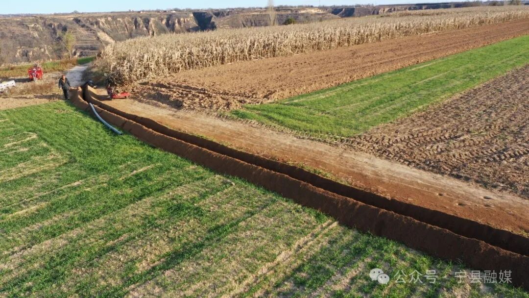 寧縣萬畝糧田“提質(zhì)升級(jí)”夯實(shí)現(xiàn)代農(nóng)業(yè)發(fā)展“耕”基