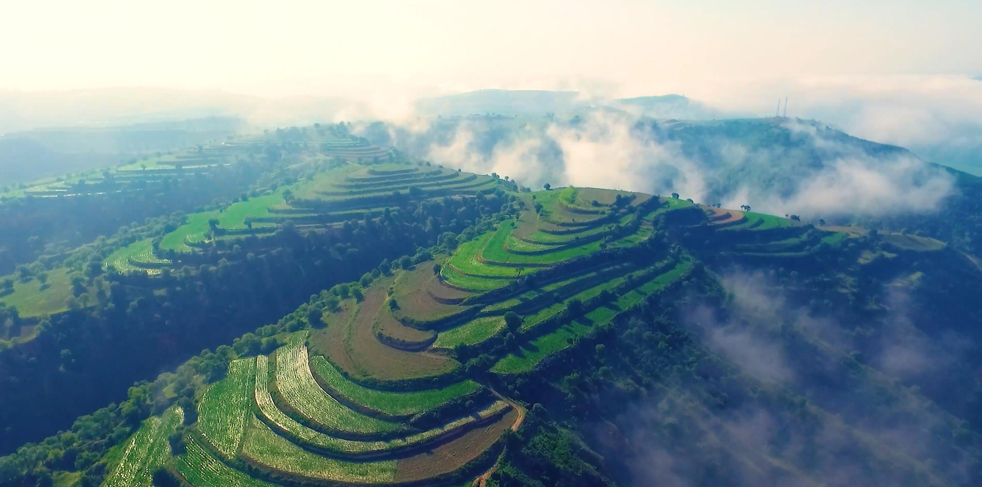 深學(xué)細(xì)悟踐全會(huì)精神 實(shí)干篤行譜慶城新篇——慶城縣全面推動(dòng)二十屆四中全會(huì)精神落地生根