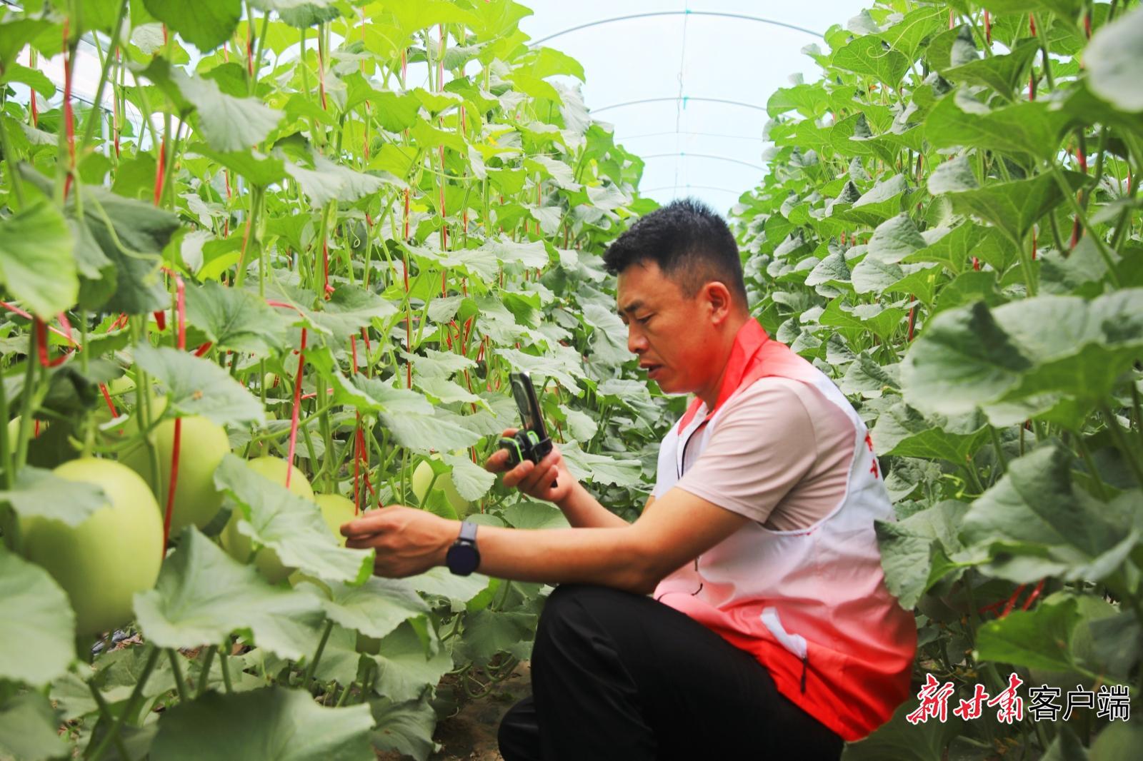 高臺(tái)：“網(wǎng)”聚正能量 “e”路惠民生