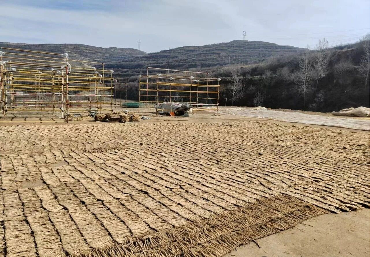 甘肅漳縣：“小藥材”種出強(qiáng)村富民“千金方”