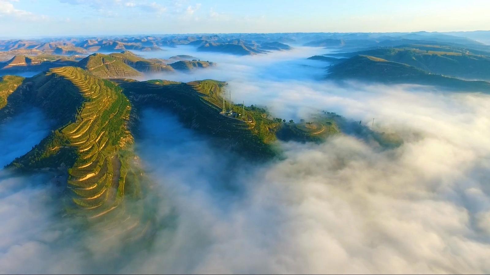 華池：小雜糧撐起致富夢 黃土坡奏響振興曲