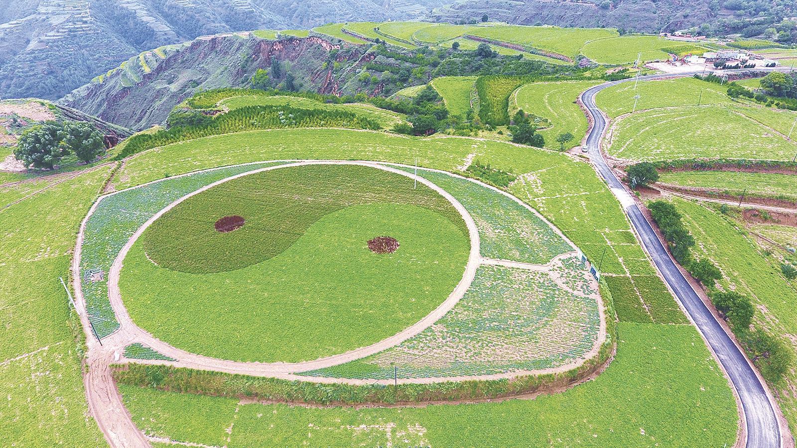 《隴東報》特刊·縣區(qū)觀察︱錨定高質(zhì)量 奮進(jìn)新征程——華池縣“十四五”經(jīng)濟(jì)社會發(fā)展紀(jì)實