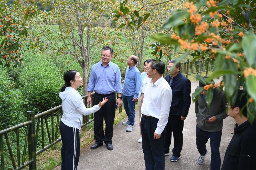 習(xí)近平總書記關(guān)切事·囑托｜沃野興農(nóng)人的豐收密碼