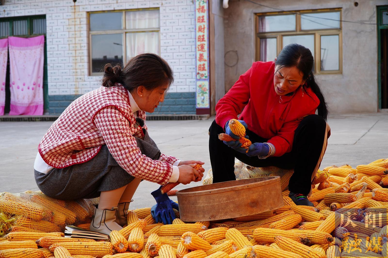 山丹丹花開紅艷艷——許改燕用愛守護風雨飄搖的家