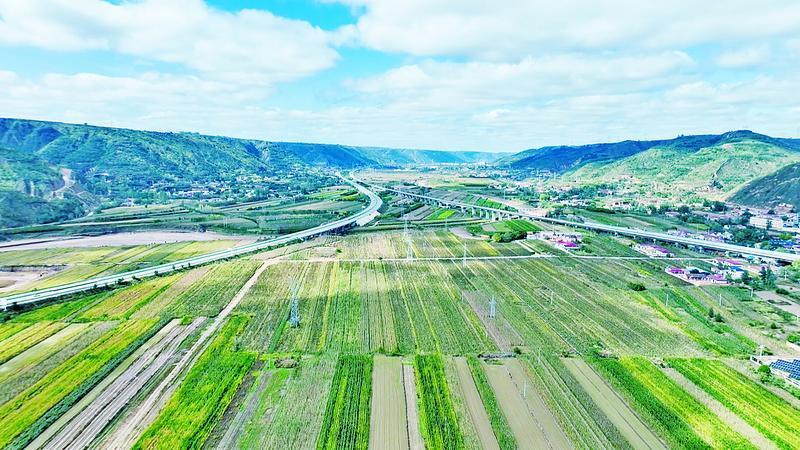 《隴東報》特刊·鄉(xiāng)村振興丨慶城縣：因地制宜做強鄉(xiāng)村特色產(chǎn)業(yè)