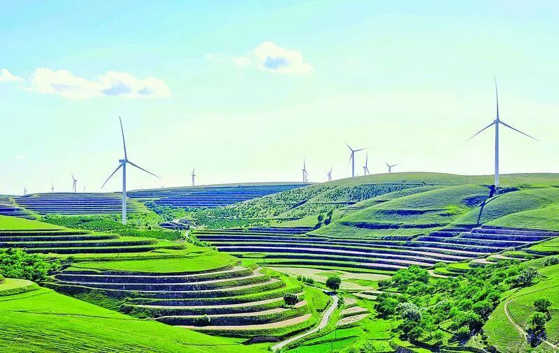 【慶陽·縣區(qū)觀察】一件羊肉緣何帶火一座小鎮(zhèn)？